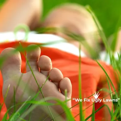 Big Dog's Outdoor Services Logo