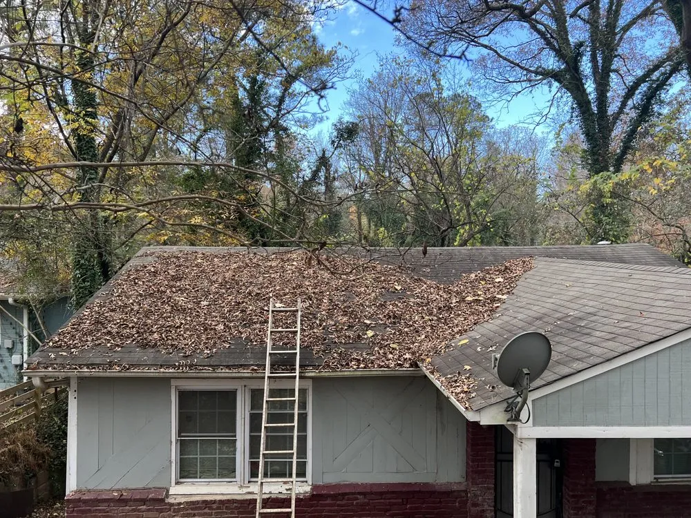 Professional yard maintenance experts serving Cartersville, GA - Big Dom's Gutters