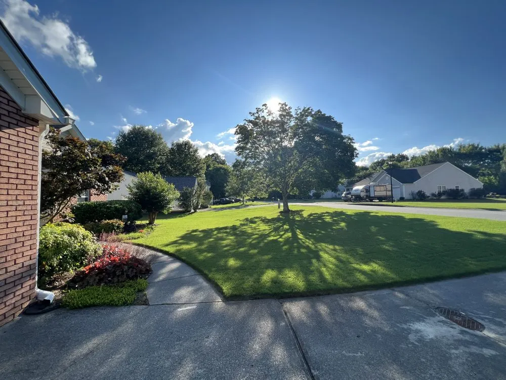 Professional yard maintenance for residential properties across Cartersville, GA - Big Dom's Gutters