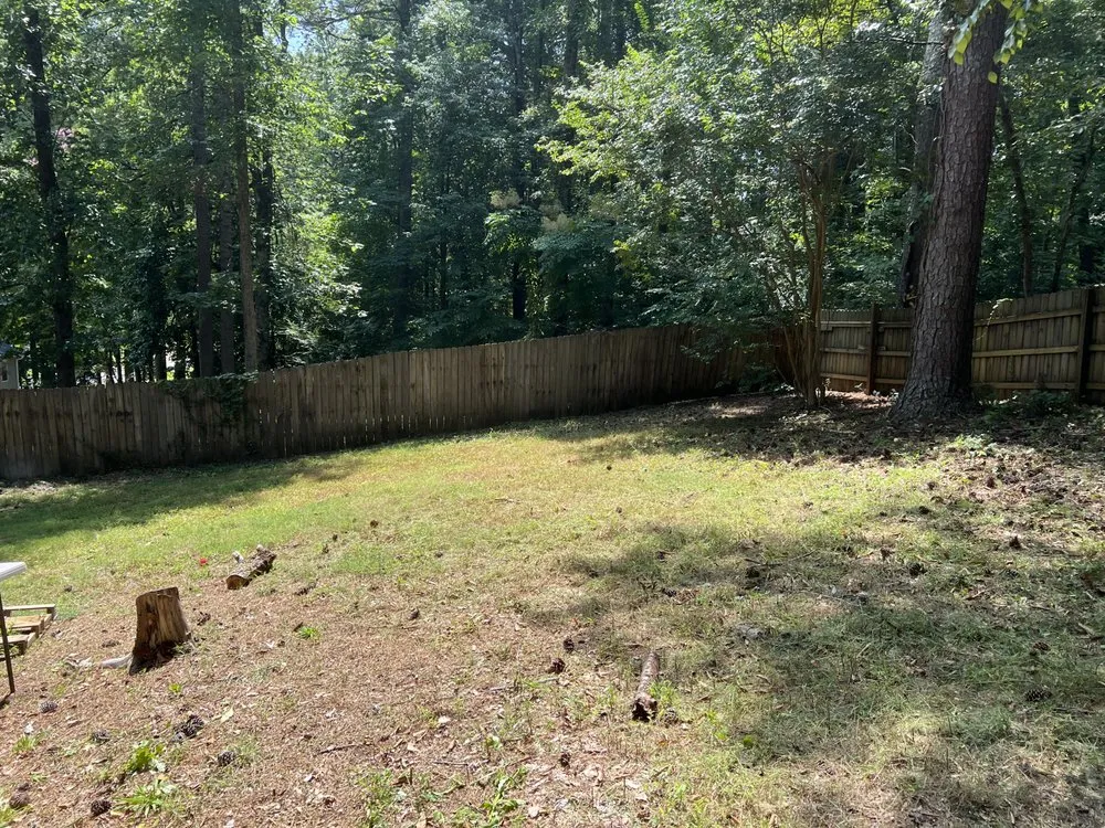 Trusted lawn mowing service for homes across Cartersville, GA - Big Dom's Gutters