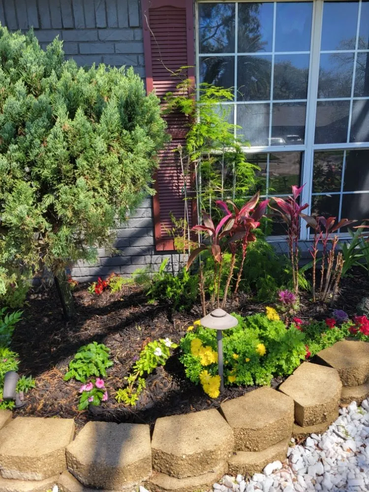 Professional lawn care service for year-round maintenance across Texas City, TX - Big Dreams Landscaping Partners