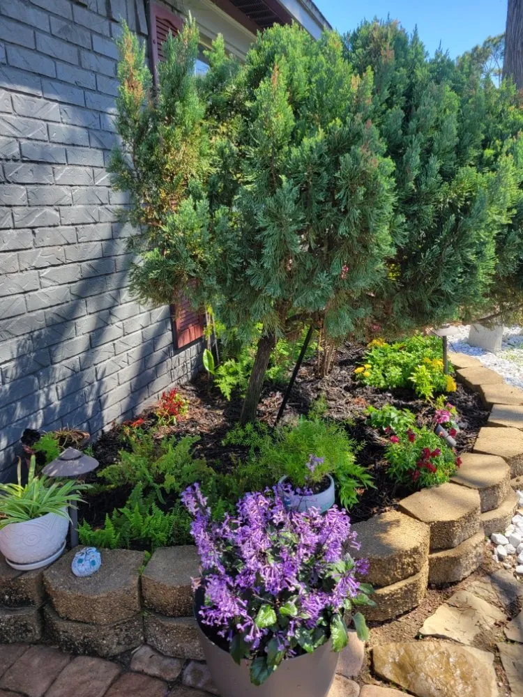 Custom yard maintenance for beautiful yards in Texas City, TX by Big Dreams Landscaping Partners