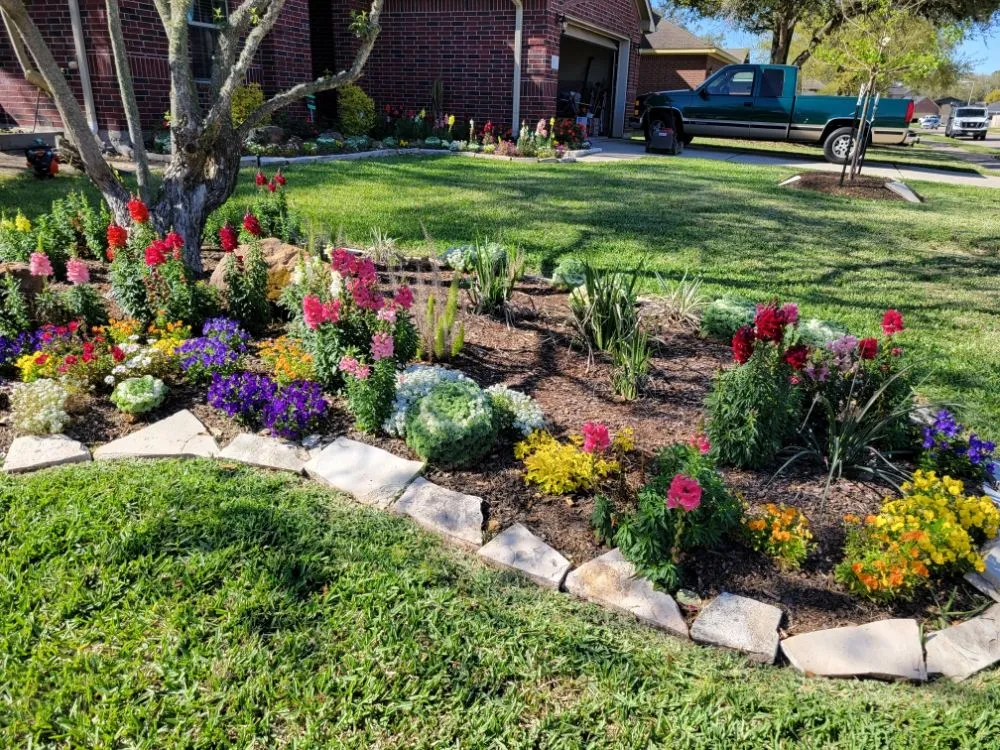 Local yard maintenance in Texas City, TX by Big Dreams Landscaping Partners