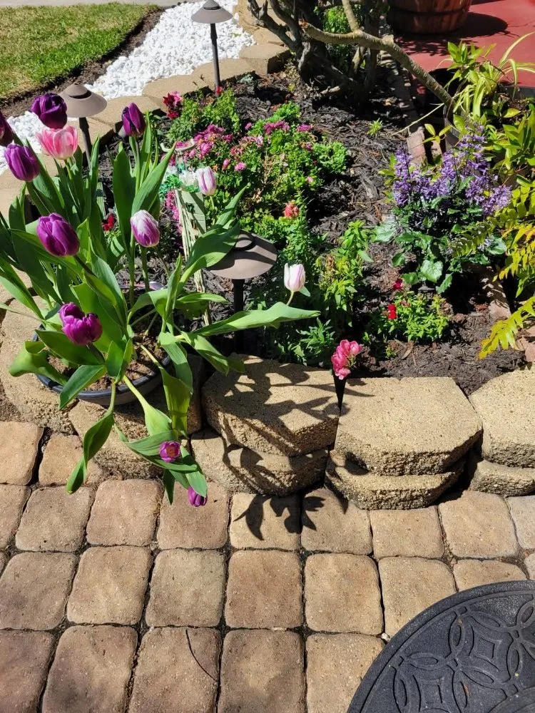 Top-rated landscape design for homes across Texas City, TX - Big Dreams Landscaping Partners