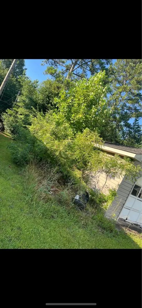 Professional yard maintenance in Greenville, SC - Big Drew & Sue’s Landscaping