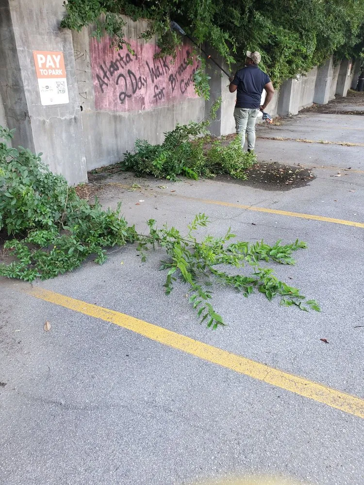 Professional outdoor landscaping for homes in Chamblee, GA by Big Dude Improvement