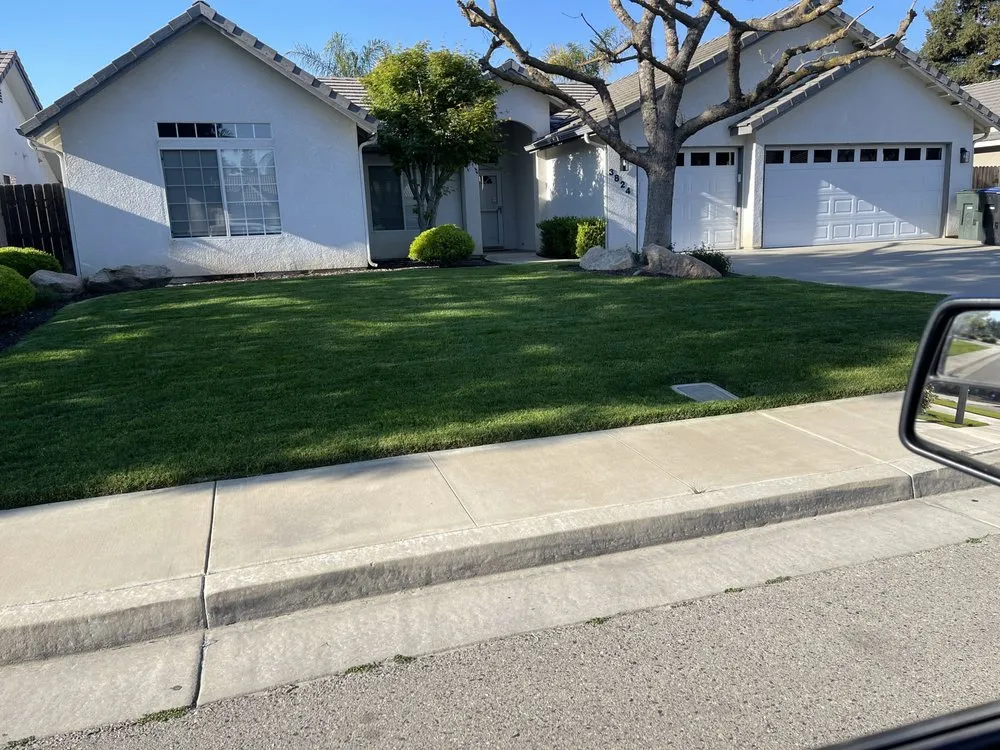 Top-rated lawn care service in Visalia, CA - Big Dudez Lawn & Haul