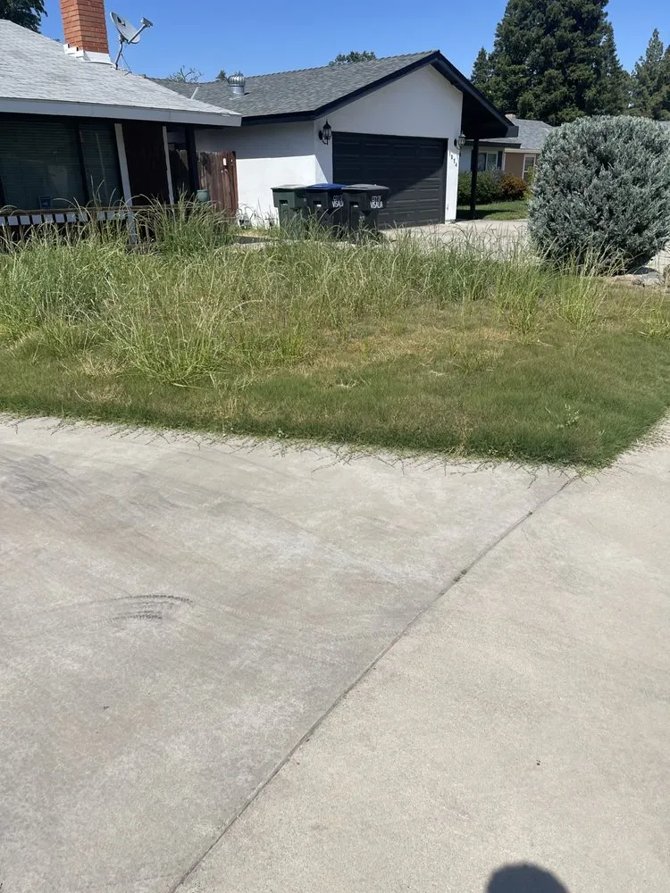 Custom landscape installation experts serving Visalia, CA - Big Dudez Lawn & Haul