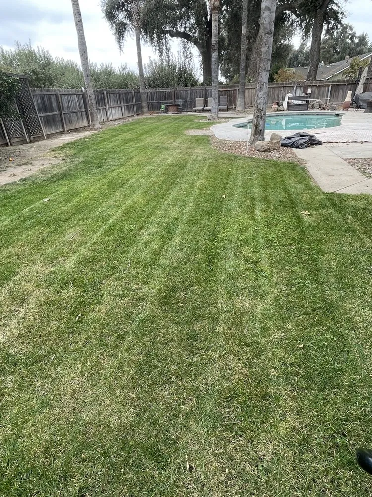 Affordable residential landscaping for year-round maintenance across Visalia, CA - Big Dudez Lawn & Haul