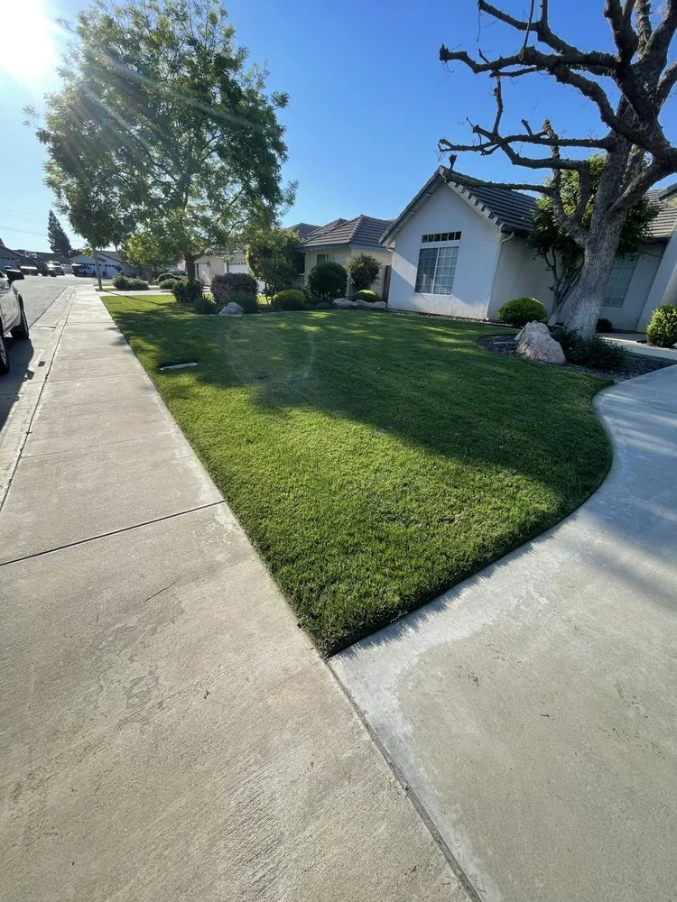 Affordable landscape design experts serving Visalia, CA - Big Dudez Lawn & Haul