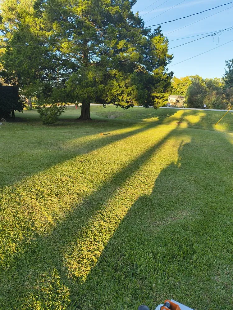 Top-rated residential landscaping with custom design across New Bern, NC - Big E Lawn Care Service