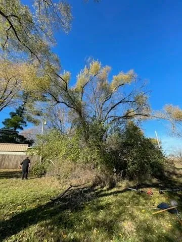 Professional lawn care service experts serving Janesville, WI - Big Ed’s Lawn Services