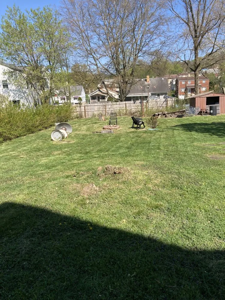 Trusted lawn care service for residential properties in Pittsburgh, PA by Big Ed’s Lawncare