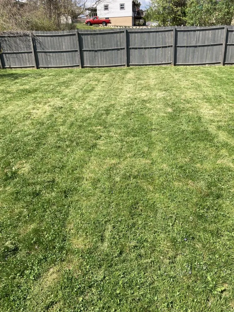 Expert garden landscaping experts serving Pittsburgh, PA - Big Ed’s Lawncare