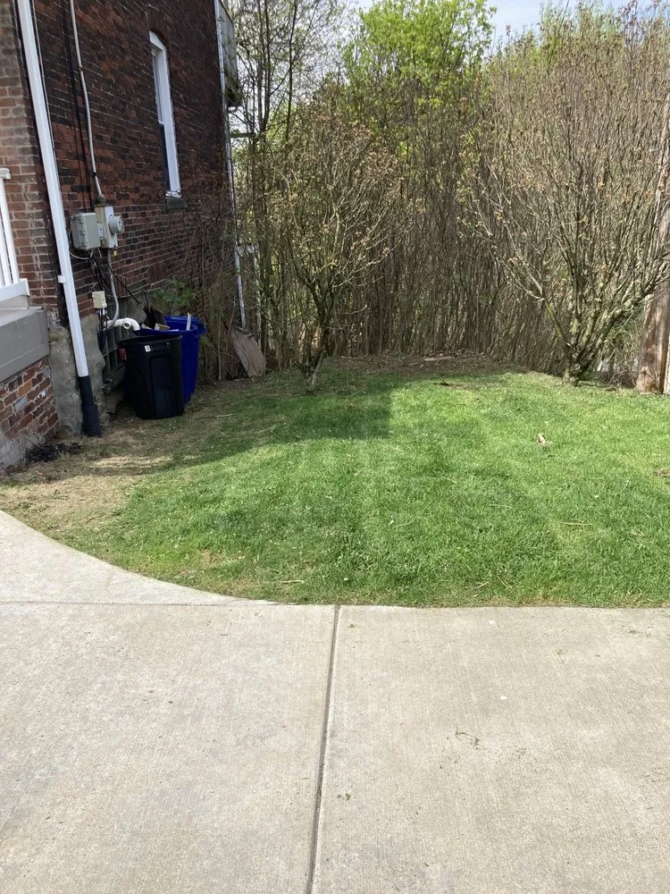 Professional yard cleanup service in Pittsburgh, PA - Big Ed’s Lawncare