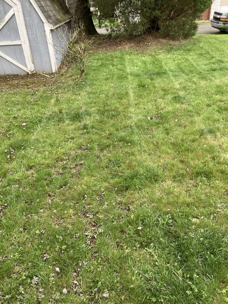 Custom landscape design near you in Pittsburgh, PA by Big Ed’s Lawncare