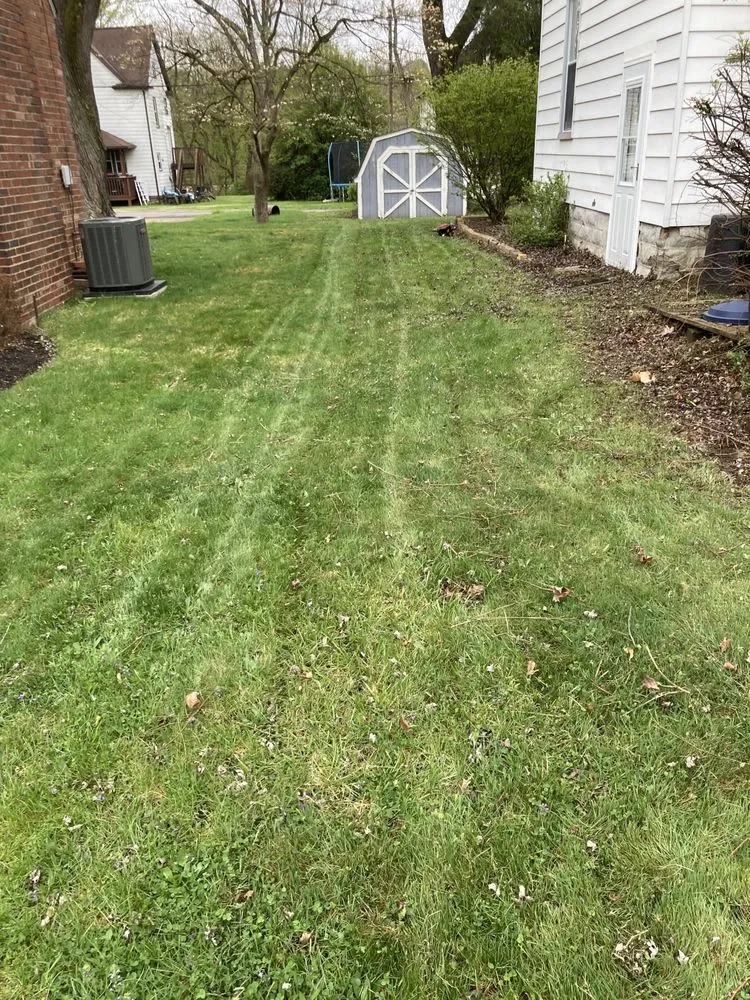 Affordable yard cleanup service with custom design across Pittsburgh, PA - Big Ed’s Lawncare