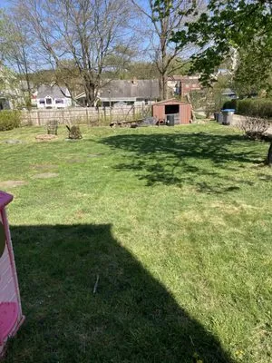 Big Ed’s Lawncare Logo