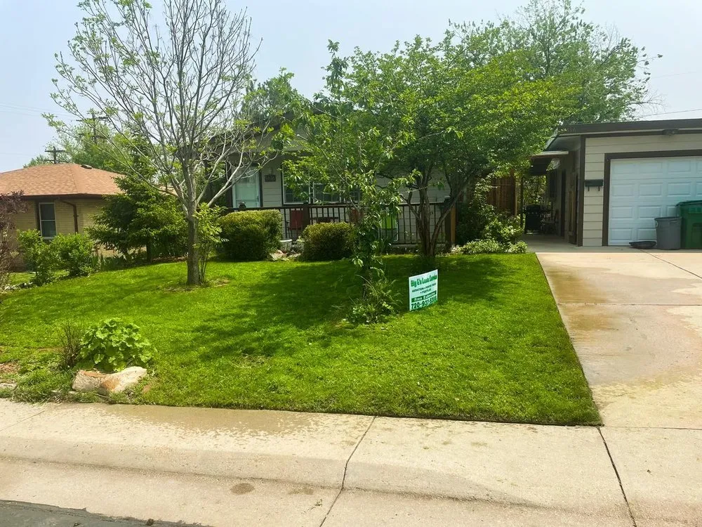 Reliable landscape installation for year-round maintenance across Denver, CO - Big E’s Lawn Service