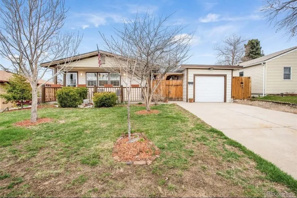 Professional outdoor landscaping for year-round maintenance in Denver, CO by Big E’s Lawn Service