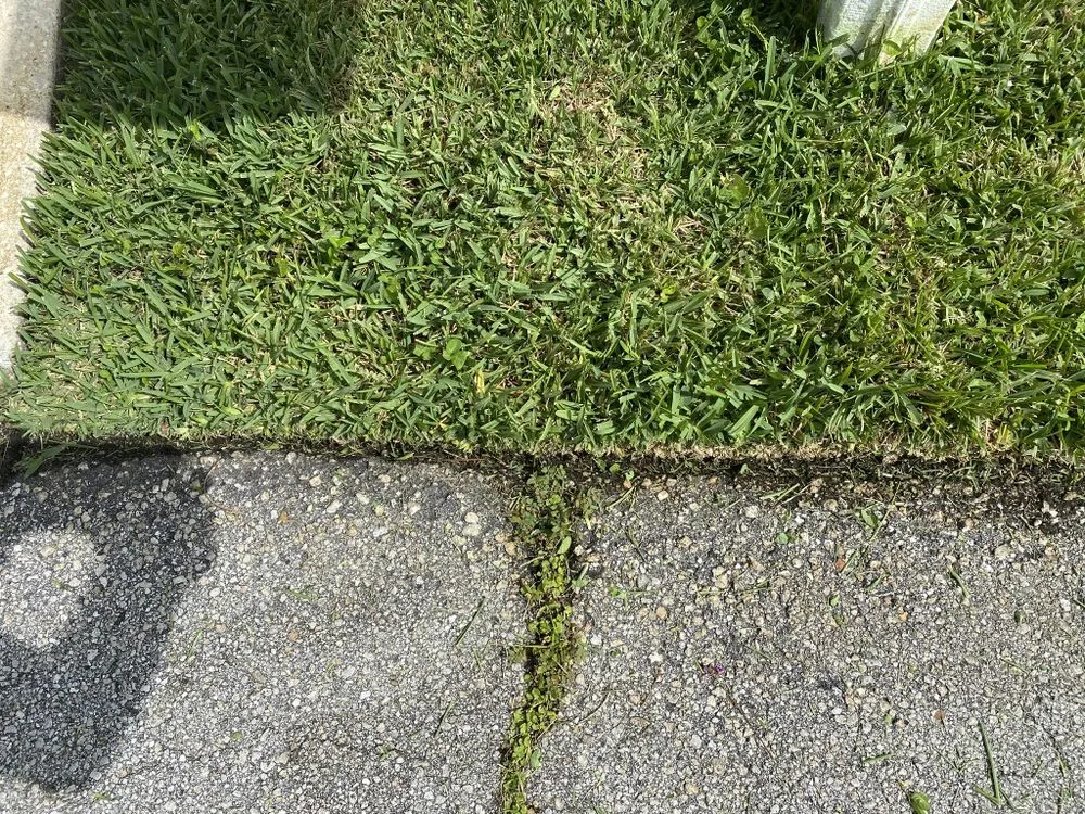 Expert landscape design in Palm Coast, FL - Big Fins Lawn Care