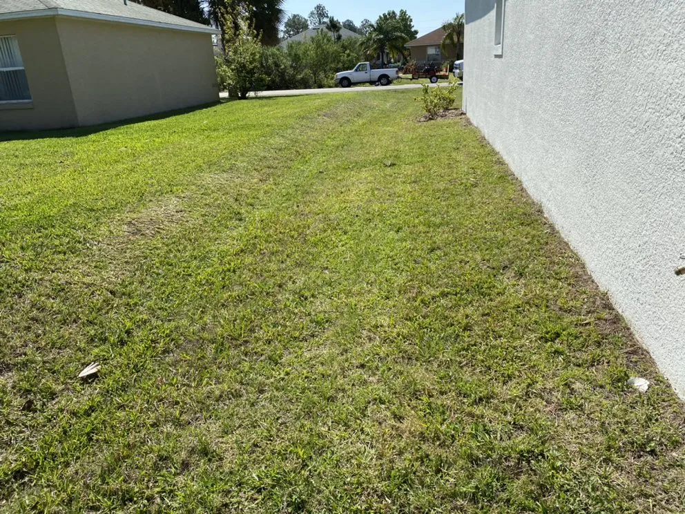 Expert yard maintenance for homes across Palm Coast, FL - Big Fins Lawn Care