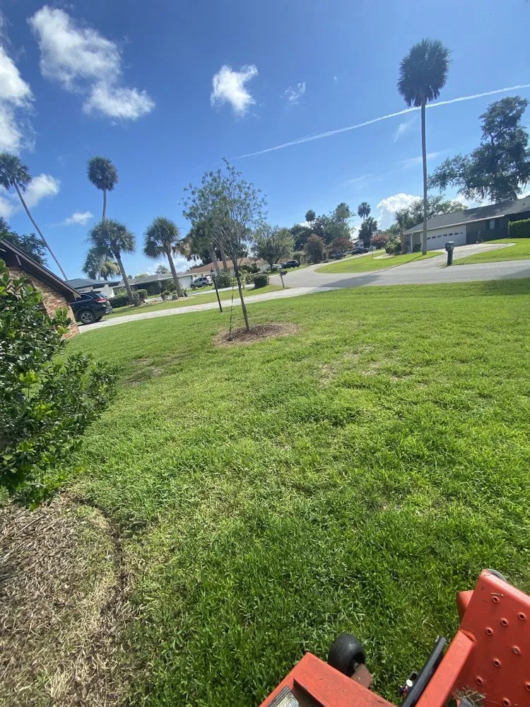 Professional yard cleanup service in Palm Coast, FL - Big Fins Lawn Care