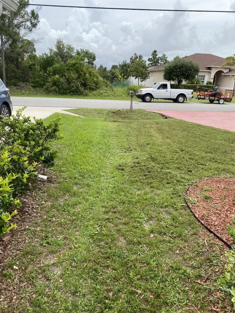Top-rated yard cleanup service in Palm Coast, FL by Big Fins Lawn Care