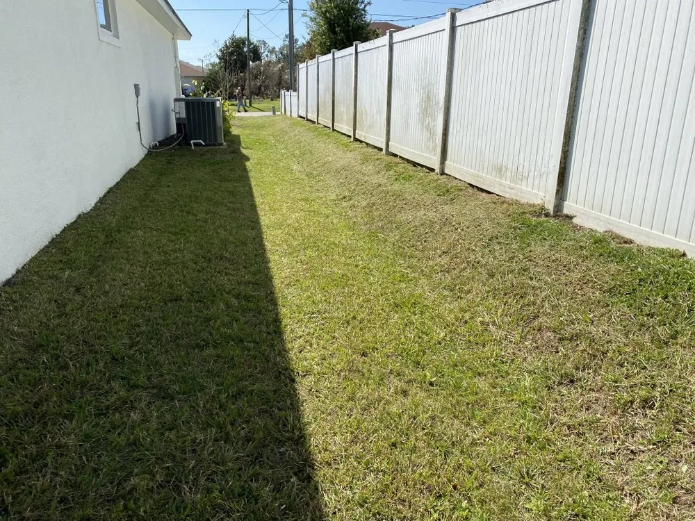 Affordable landscaping services in Palm Coast, FL - Big Fins Lawn Care