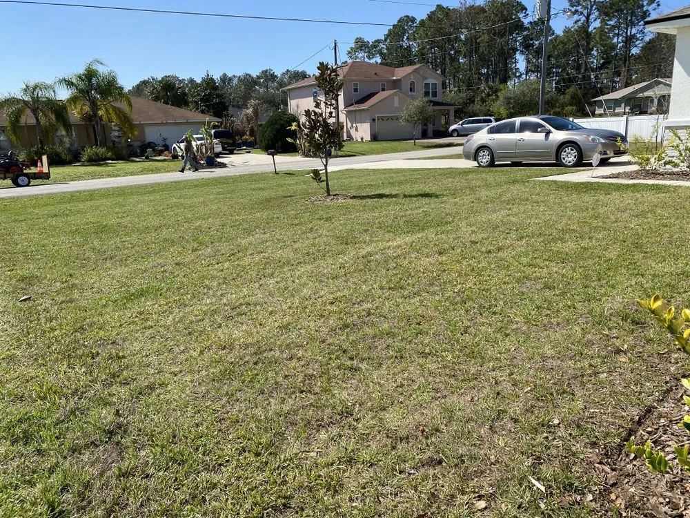 Professional residential landscaping for residential properties across Palm Coast, FL - Big Fins Lawn Care