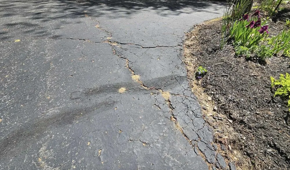 Top-rated landscape installation for outdoor upgrades in Franklin, NH by Big Fish Asphalt And Sealcoating