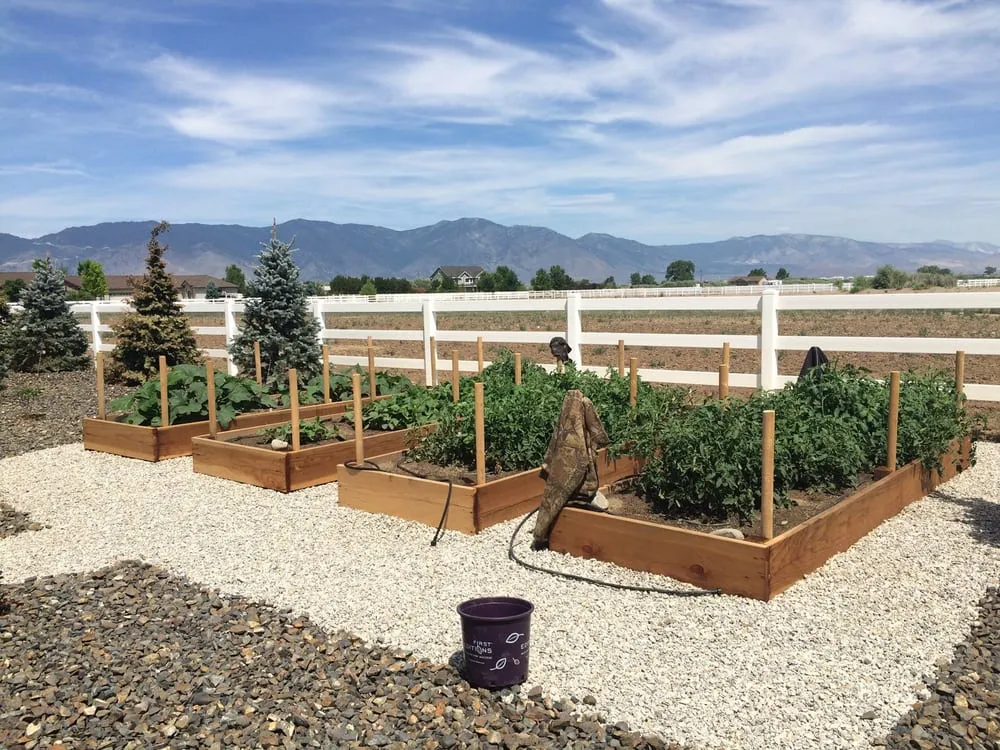 Top-rated lawn mowing service near you across Gardnerville, NV - Big Fish Landscaping