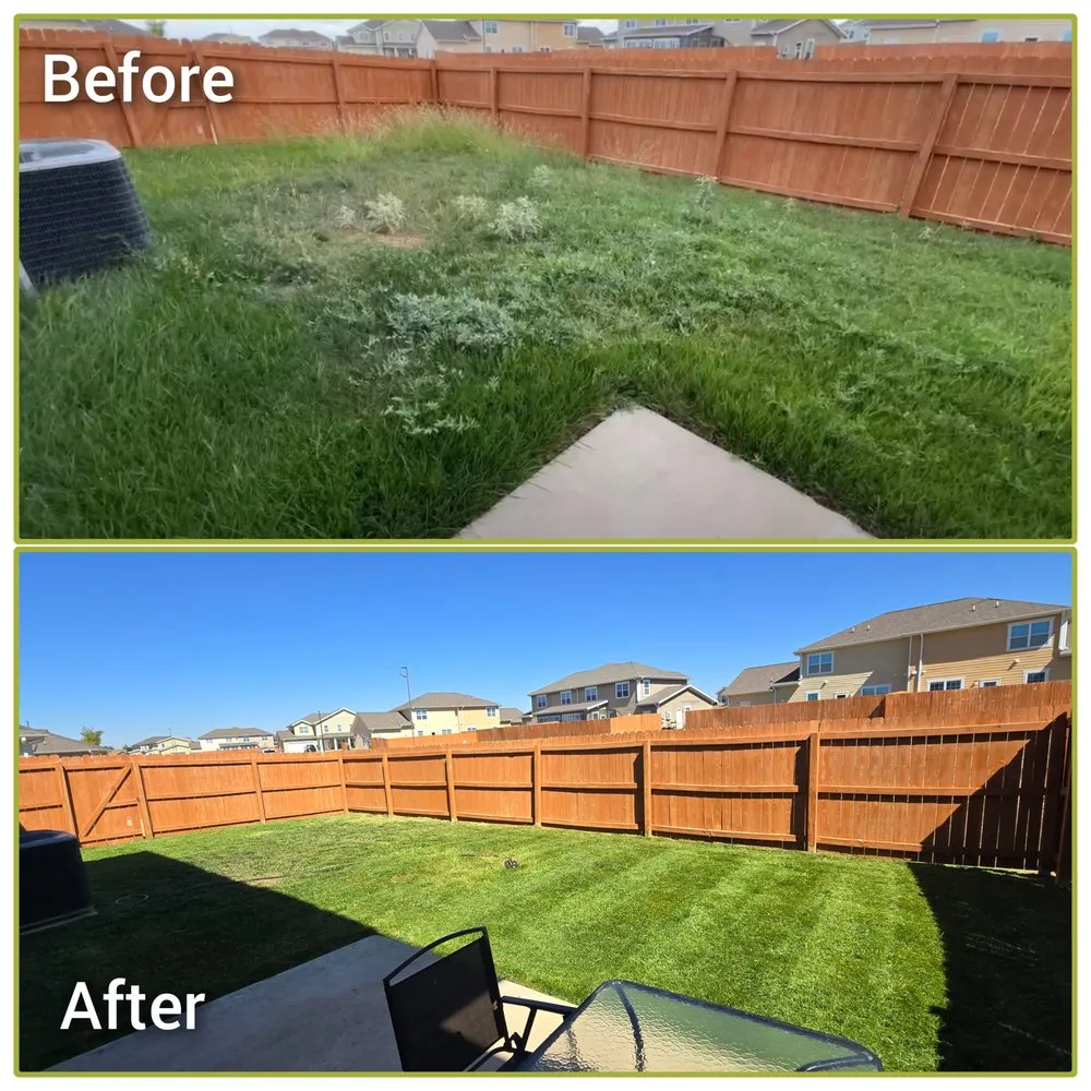 Professional residential landscaping near you across Clovis, NM - Big Flex Lawn Care
