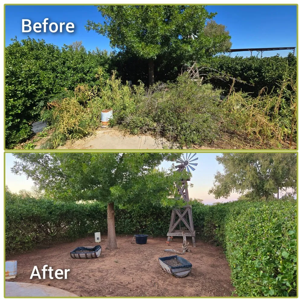 Local landscape design in Clovis, NM - Big Flex Lawn Care