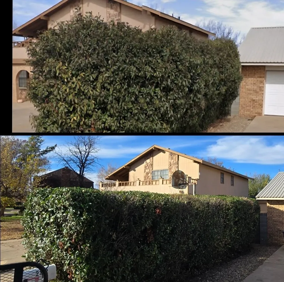 Custom landscaping services for homes across Clovis, NM - Big Flex Lawn Care