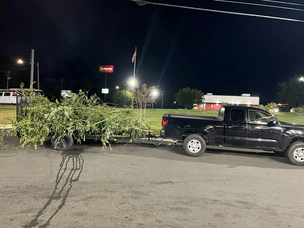 Local landscape design for residential properties across Reidsville, NC - Big Gorillaz Landscaping and More