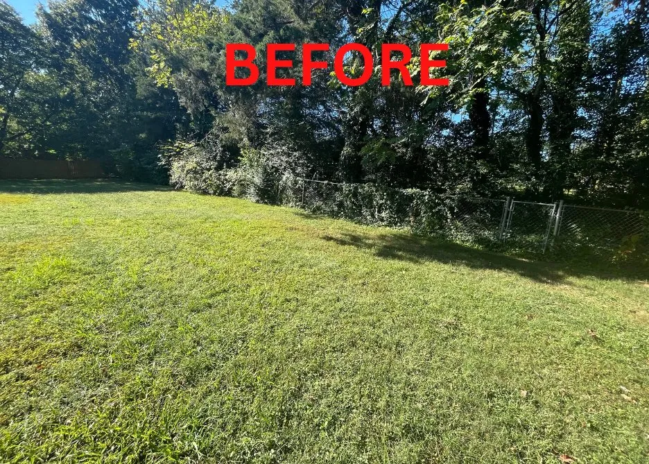 Affordable landscape design in Reidsville, NC by Big Gorillaz Landscaping and More