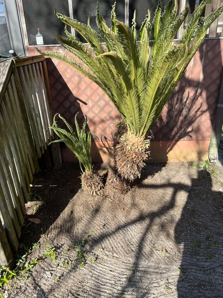 Affordable landscape design experts serving Fort Walton Beach, FL - Big Green Fencing