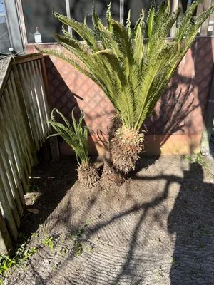 Big Green Fencing Logo