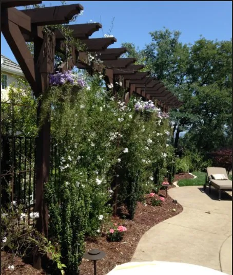 Professional residential landscaping for beautiful yards in El Dorado Hills, CA by Big Green Landscaping