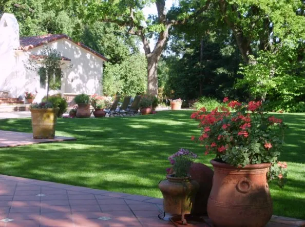 Local yard maintenance in El Dorado Hills, CA - Big Green Landscaping