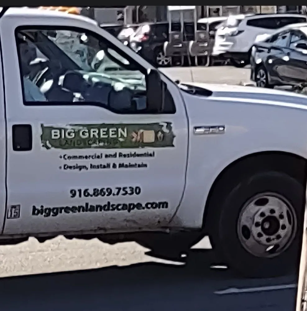 Reliable yard cleanup service in El Dorado Hills, CA by Big Green Landscaping