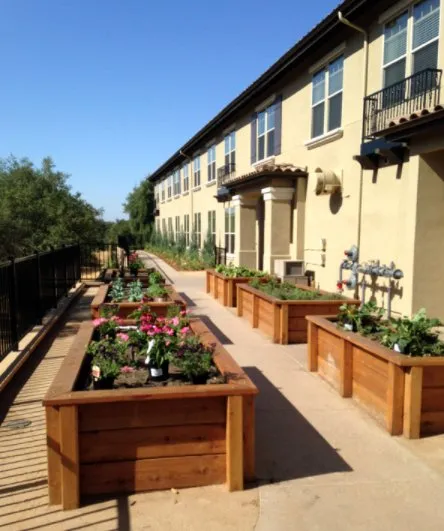 Professional outdoor landscaping with custom design in El Dorado Hills, CA by Big Green Landscaping