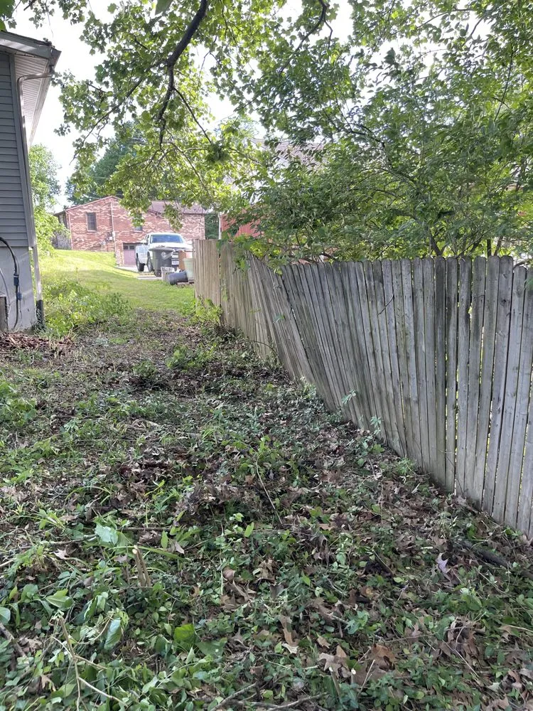 Top-rated landscaping services in Jackson, MO by Big Green Lawn Care