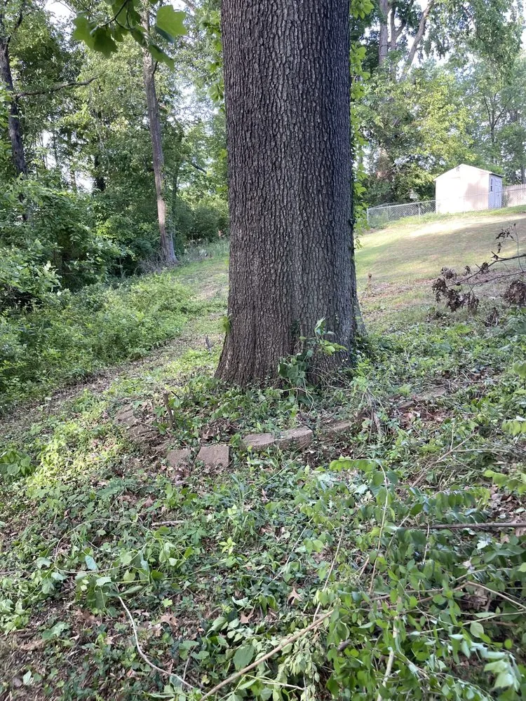 Local outdoor landscaping for residential properties in Jackson, MO by Big Green Lawn Care