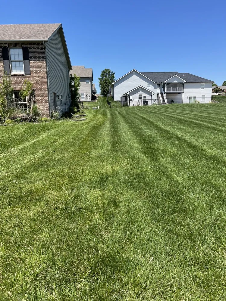 Expert lawn care service experts serving Jackson, MO - Big Green Lawn Care