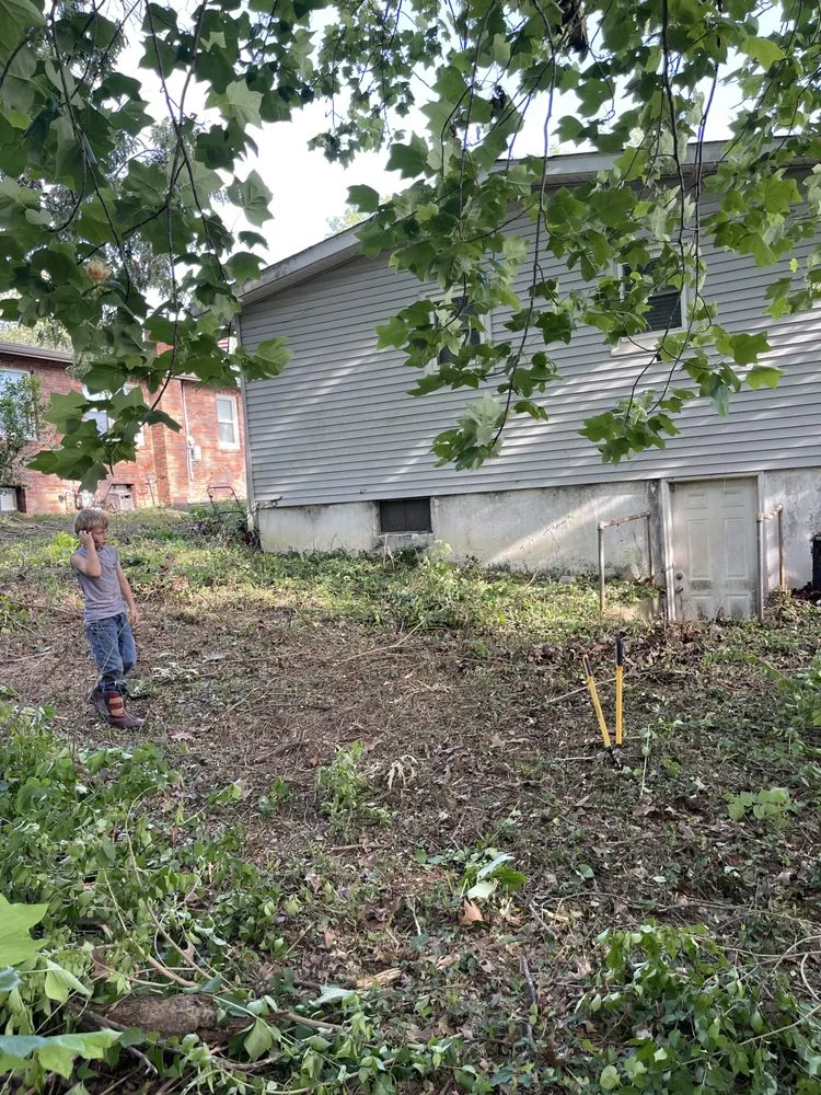 Custom lawn mowing service experts serving Jackson, MO - Big Green Lawn Care