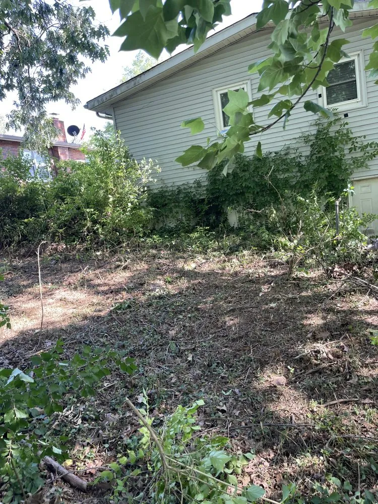 Trusted landscape design experts serving Jackson, MO - Big Green Lawn Care