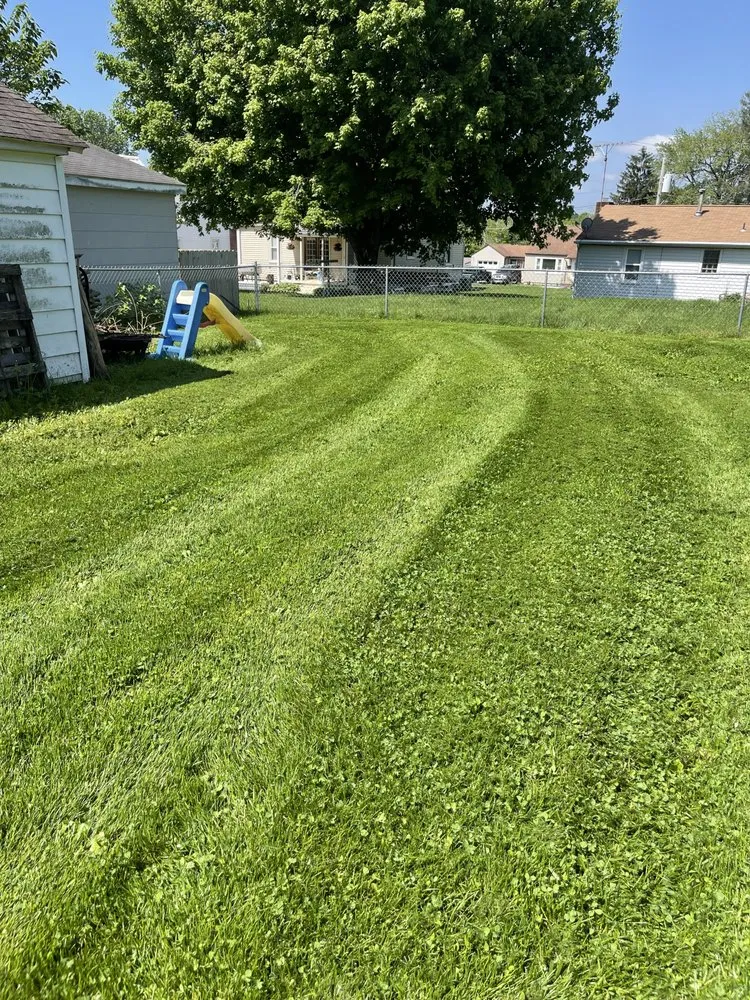 Affordable landscaping services in Jackson, MO - Big Green Lawn Care