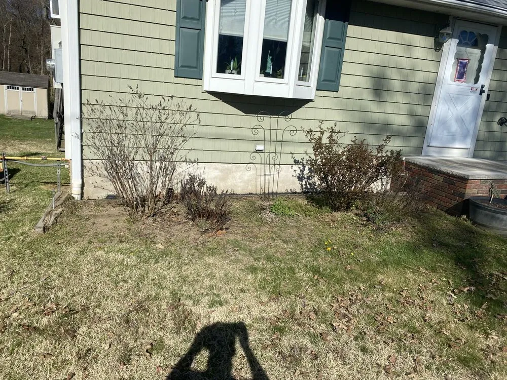 Custom landscape design in Little Falls, NJ by Big Green Lawn Service